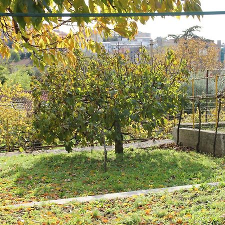 Willa Il Gelsomino Triest Zewnętrze zdjęcie